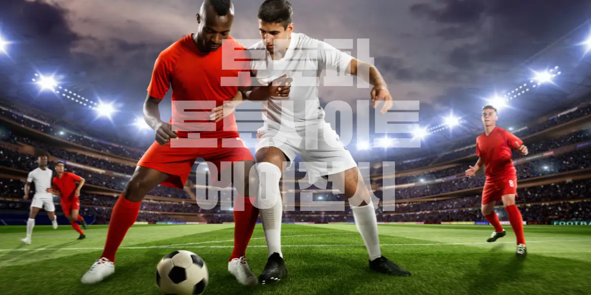 토토사이트 추천 토토사이트 추천